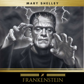 Hörbuch Frankenstein  - Autor Mary Shelley   - gelesen von Erica Collins
