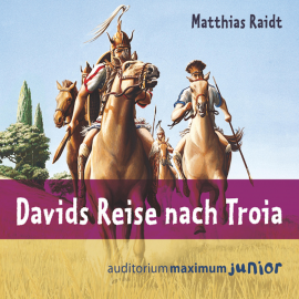 Hörbuch Davids Reise nach Troia (Ungekürzt)  - Autor Matthias Raidt   - gelesen von Wolfgang Schmidt