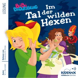 Hörbuch Im Tal der wilden Hexen - Bibi Blocksberg - Hörbuch (Ungekürzt)  - Autor Matthias von Bornstädt   - gelesen von Alexandra Marisa Wilcke