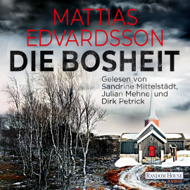 Hörbuch Die Bosheit  - Autor Mattias Edvardsson   - gelesen von Schauspielergruppe