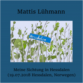 Hörbuch Meine Sichtung in Hessdalen (19.07.2018 Hessdalen, Norwegen)  - Autor Mattis Lühmann   - gelesen von Mattis Lühmann