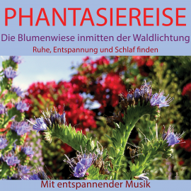 Hörbuch Phantasiereise: Die Blumenwiese inmitten der Waldlichtung  - Autor Maximilian Neumann   - gelesen von Maximilian Neumann