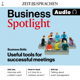 Hörbuch Business-Englisch lernen Audio - Tools für erfolgreiche Sitzungen  - Autor Melita Cameron-Wood   - gelesen von Damion Sanchez