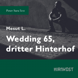 Hörbuch Wedding 65, dritter Hinterhof  - Autor Mesut L.   - gelesen von Peter Sura