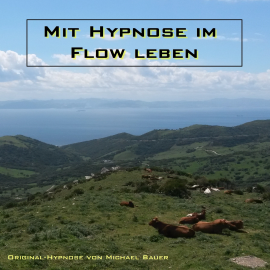 Hörbuch Mit Hypnose im Flow leben  - Autor Michael Bauer   - gelesen von Michael Bauer