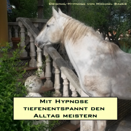 Hörbuch Mit Hypnose tiefenentspannt den Alltag meistern  - Autor Michael Bauer   - gelesen von Michael Bauer
