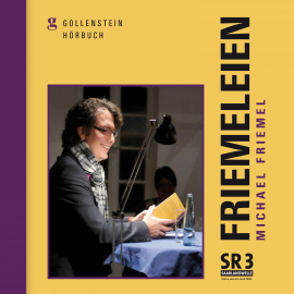 Hörbuch Friemeleien  - Autor Michael Friemel   - gelesen von Michael Friemel