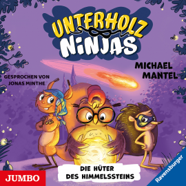 Hörbuch Unterholz-Ninjas. Die Hüter des Himmelssteins [2]  - Autor Michael Mantel   - gelesen von Jonas Minthe