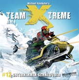 Team Xtreme 12: Unternehmen Schneefeuer