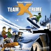 Team Xtreme 4: Das Borodin-Gambit