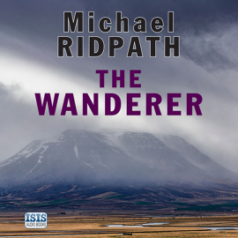 Hörbuch The Wanderer  - Autor Michael Ridpath   - gelesen von Seán Barrett