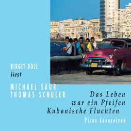 Hörbuch Das Leben war ein Pfeifen  - Autor Michael Saur   - gelesen von Birgit Doll