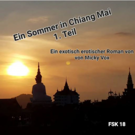 Hörbuch Ein Sommer in Chiang Mai (Kapitel 1-5)  - Autor Micky Vox   - gelesen von Uwe Prasse