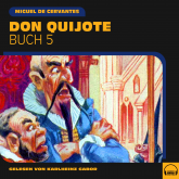 Don Quijote (Buch 5)