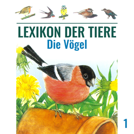 Hörbuch Die Vögel-(Lexikon der Tiere 1)  - Autor Mik Berger   - gelesen von Achim Schülke