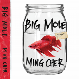 Hörbuch Big Mole  - Autor Ming Cher   - gelesen von Mathilda D'Silva