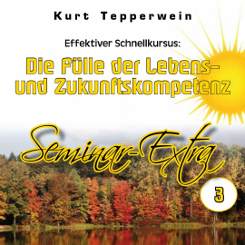 Hörbuch Effektiver Schnellkursus: Die Fülle der Lebens- Und Zukunftskompetenz (Seminar-Extra - Teil 3)  - Autor N.N.   - gelesen von Kurt Teperwein