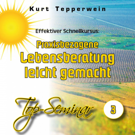 Hörbuch Effektiver Schnellkursus: Praxisbezogene Lebensberatung leicht gemacht (Top-Seminar - Teil 3)  - Autor N.N.   - gelesen von Kurt Tepperwein