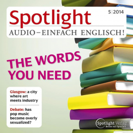 Hörbuch Englisch lernen Audio - Wörterbücher heute  - Autor N.N.   - gelesen von Diverse