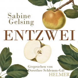 Hörbuch Entzwei  - Autor N.N.   - gelesen von Dorothee Schlemm-Gál