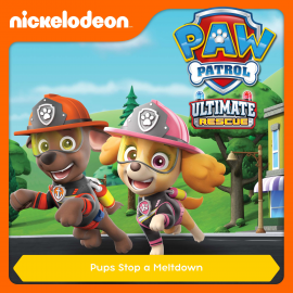 paw patrol meltdown