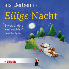 Hörbuch Iris Berben liest: Eilige Nacht  - Autor N.N.   - gelesen von Iris Berben