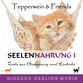Hörbuch Seelennahrung 1: Texte zur Besinnung und Einkehr (Tepperwein and Friends)  - Autor N.N.   - gelesen von Ricardo M