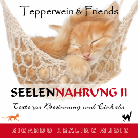 Hörbuch Seelennahrung 2: Texte zur Besinnung und Einkehr (Tepperwein and Friends)  - Autor N.N.   - gelesen von Ricardo M