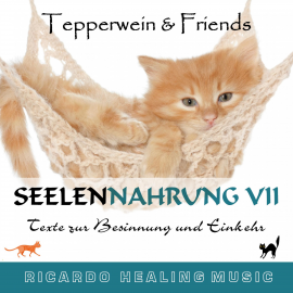 Hörbuch Seelennahrung 7: Texte zur Besinnung und Einkehr (Tepperwein and Friends)  - Autor N.N.   - gelesen von Ricardo M