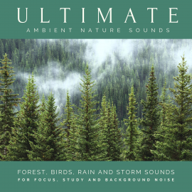 Hörbuch Ultimate Ambient Nature Sounds (XXL Bundle)  - Autor Nature Sounds Therapy   - gelesen von Ian Brannan