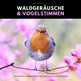 Hörbuch Friedvolle Waldgeräusche & Vogelstimmen  - Autor Naturklänge Manufaktur   - gelesen von Naturklänge Manufaktur