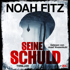Hörbuch Seine Schuld  - Autor Noah Fitz   - gelesen von Josef Vossenkuhl