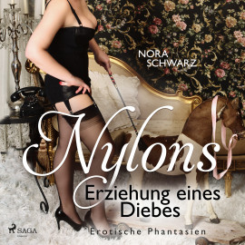 Hörbuch Nylons: Erziehung eines Diebes - Erotische Phantasien  - Autor Nora Schwarz   - gelesen von Claudia Drews