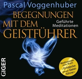 Hörbuch Begegnungen mit dem Geistführer  - Autor Pascal Voggenhuber   - gelesen von Pascal Voggenhuber
