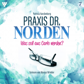 Praxis Dr. Norden 7 - Arztroman