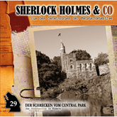 Der Schrecken vom Central Park (Sherlock Holmes & Co 29)