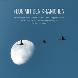 Hörbuch Flug mit den Kranichen: Traumreise zum Einschlafen - Schlafgeschichte - Mentalreise - Tiefenentspannung - Fantasiereise  - Autor Patrick Lynen   - gelesen von Stephan Müller