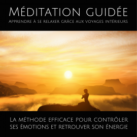 Hörbuch Méditation guidée – Apprendre a se relaxer grâce aux voyages intérieurs  - Autor Patrick Lynen   - gelesen von Emmanuel Teillet