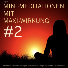 Hörbuch Mini-Meditationen mit Maxi-Wirkung #2  - Autor Patrick Lynen   - gelesen von Patrick Lynen