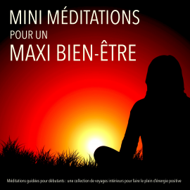 Hörbuch MINI méditations pour un MAXI bien-etre  - Autor Patrick Lynen   - gelesen von Emmanuel Teillet