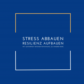 Hörbuch Stress abbauen, Resilienz aufbauen  - Autor Patrick Lynen   - gelesen von Stephan Müller