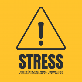 Hörbuch Stress! Stress bewältigen, Stress abbauen, Stress Management  - Autor Patrick Lynen   - gelesen von Patrick Lynen