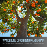 Wanderung durch den Orangenhain: Ein Fest der Sinne - Fantasiereise - Mentalreise - Geführte Tiefenentspannung - Gedankenreise