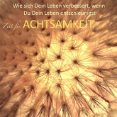 Hörbuch ZEIT FÜR ACHTSAMKEIT (Gelassenheit, Entspannung, zur Ruhe kommen, Innere Balance finden)  - Autor Patrick Lynen   - gelesen von Stephan Müller
