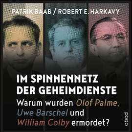 Hörbuch Im Spinnennetz der Geheimdienste  - Autor Patrik Baab.;Robert E. Harkavy   - gelesen von Patrick Zwingmann