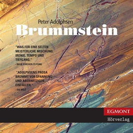 Hörbuch Brummstein  - Autor Peter Adolphsen   - gelesen von Samy Andersen
