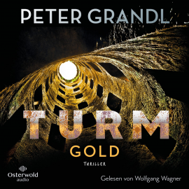 Hörbuch Turmgold (Die Turm-Reihe 2)  - Autor Peter Grandl   - gelesen von Wolfgang Wagner