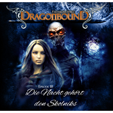 Die Nacht gehört den Skolniks (Dragonbound 18)