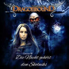 Hörbuch Dragonbound, Episode 18: Die Nacht gehört den Skolniks  - Autor Peter Lerf   - gelesen von Schauspielergruppe