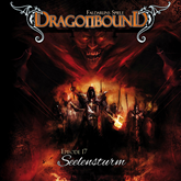 Seelensturm (Dragonbound 17)